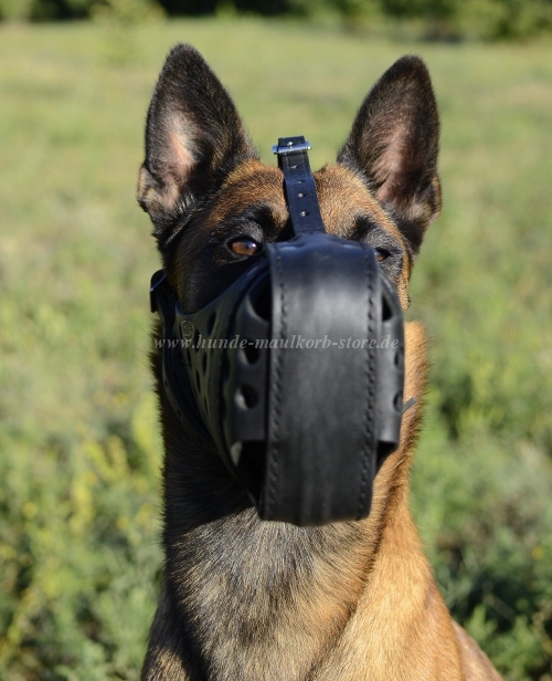 Malinois Training Leather Muzzle