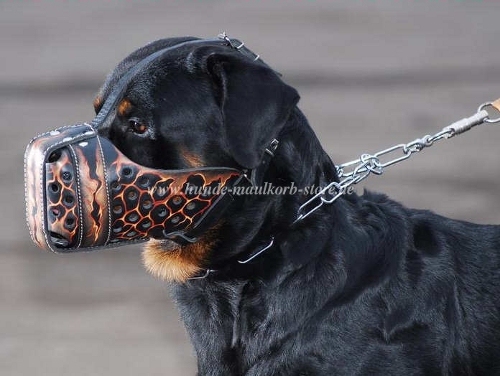 Rottweiler Maulkorb Leder kaufen