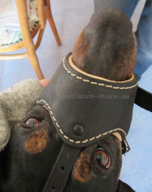 Hunde Maulkorb mit Polsterung aus Nappa