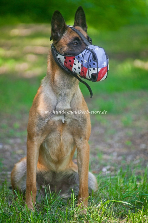 Malinois Maulkorb mit Muster