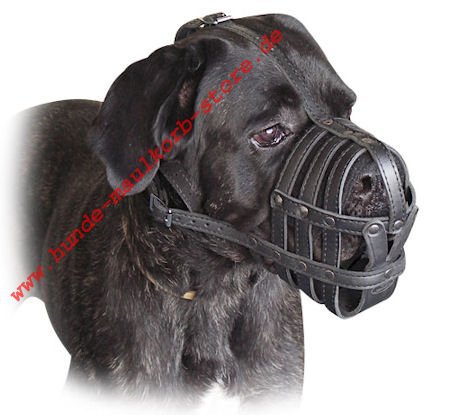 Cane Corso Maulkorb