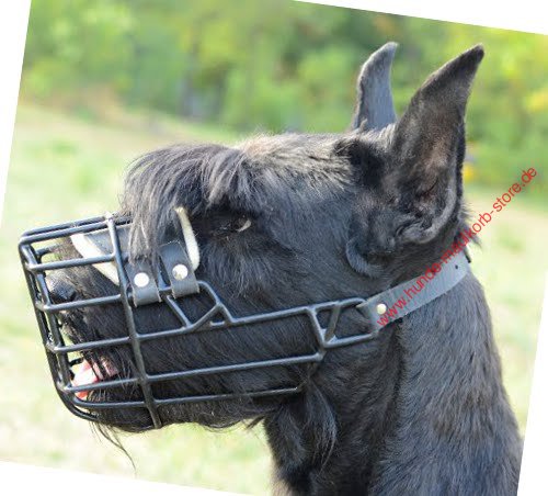 cage design rubberised muzzle for Big Schnauzer