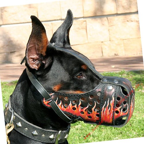 Doberman Training Leather Muzzle