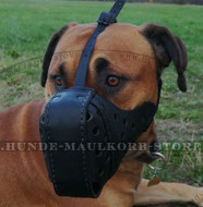 Ledermaulkorb "Dondi plus" für Boerboel Mastiff