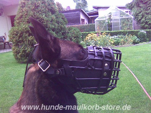 Mali Drahtmaulkorb Hund mit Gummideckung