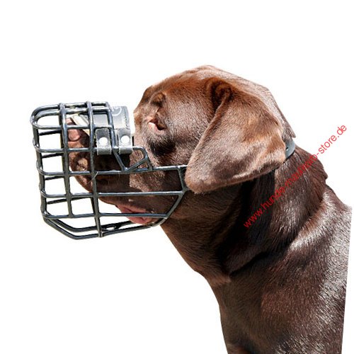 cage muzzle for Retriever