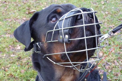 Metal Muzzle for Rottweiler