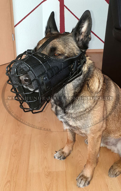 Draht K9 Maulkorb für Malinois kaufen