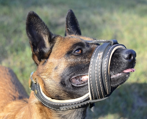 Malinois Maulkorb Nappa Leder