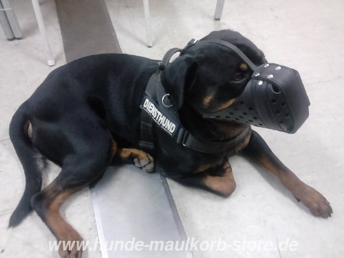 Rottweiler Stossbeisskorb