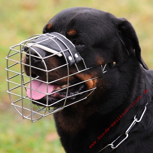  metal muzzle K9