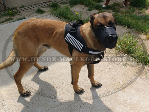 Malinois Maulkorb aus Nylon kaufen