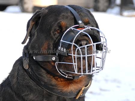 Metallischer Drahtmaulkorb Hund mit Polsterung