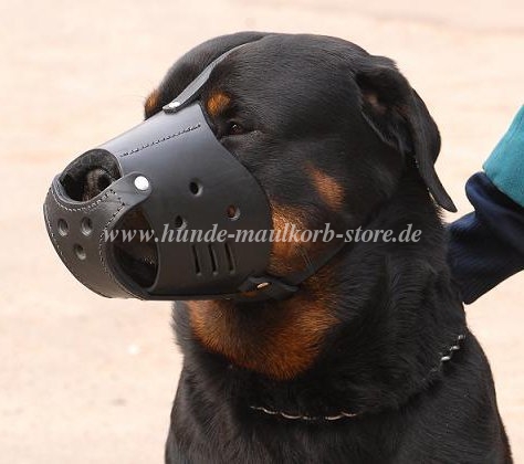 Rottweiler Beißkorb Leder für tägliche Spaziergänge