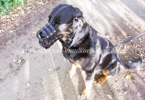 Rottweiler Maulkorb Leder ist
hundefreundlich