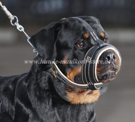 Rottweiler Hund Maulkorb
ist gepolstert