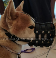 Shiba Inu Maulkorb Leder in Netzkonstruktion mit guter Belüftung