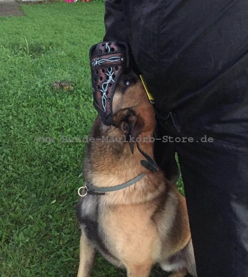 Stacheldraht MusterLedermaulkorb für Malinois