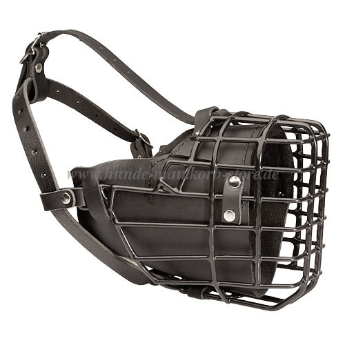 leather and wire dog muzzle