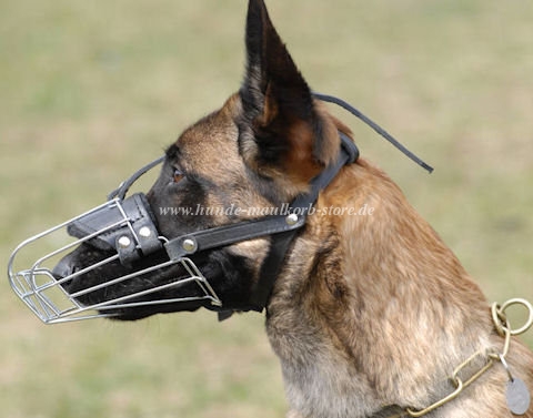 Malinois Maulkorb Hund aus Metall