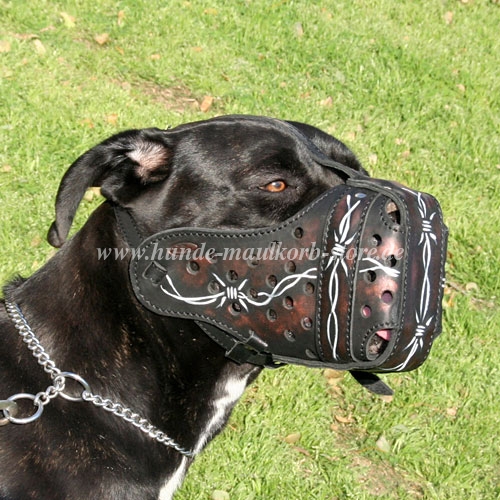 Cane Corso Ledermaulkorb Hund mit Stacheldraht Muster