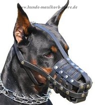 Dobermann Ledermaulkorb Hund mit
Leichtgewicht