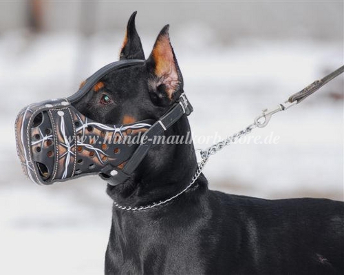 Dobermann Ledermaulkorb Hund mit Stacheldraht
Muster