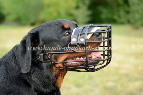 Rottweiler Hundemaulkorb Draht mit
Polster