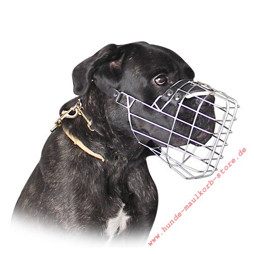 Basket Muzzle for Cane Corso Italiano K9