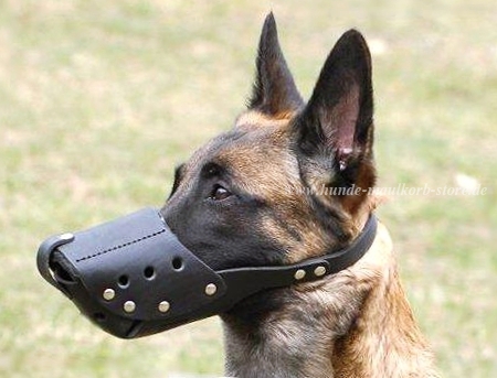 Sicherer Malinois Maulkorb aus Leder