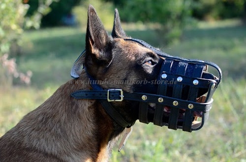 Geflochtenes Hundehalsband aus Leder kaufen