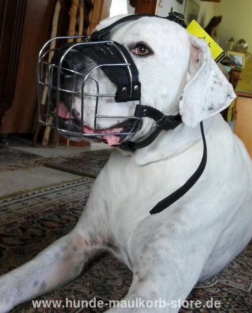 dog muzzle for large mastiff