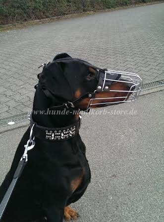 Dobermann Maulkorb aus bestem Draht