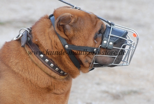 Shar-Pei Beißkorb Draht für tägliche Spaziergänge