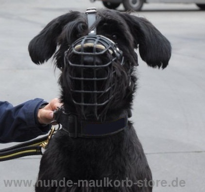 Schnauzer Muzzle for Police Work