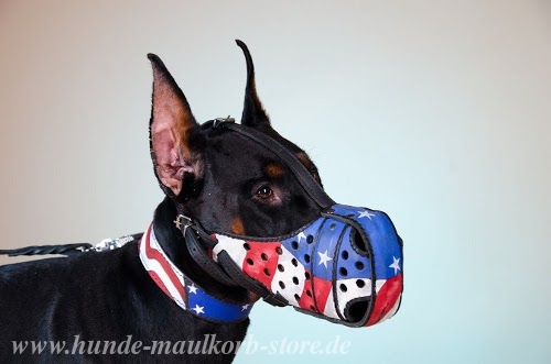 Dobermann Maulkorb mit Amerika Muster