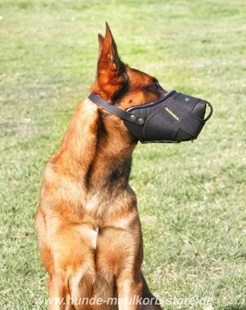 Malinois Schutzhund K9 Maulkorb