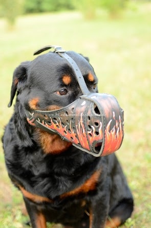 Rottweiler Maulkorb mit Flamme Muster