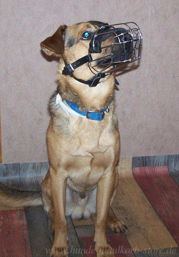 Wire K9 Muzzle