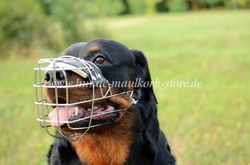 Rottweiler Drahtmaulkorb Hund mit Polster