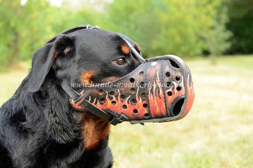 Leder Maulkorb Rottweiler