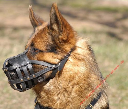 Leather Dog Muzzle for German Shepherd 