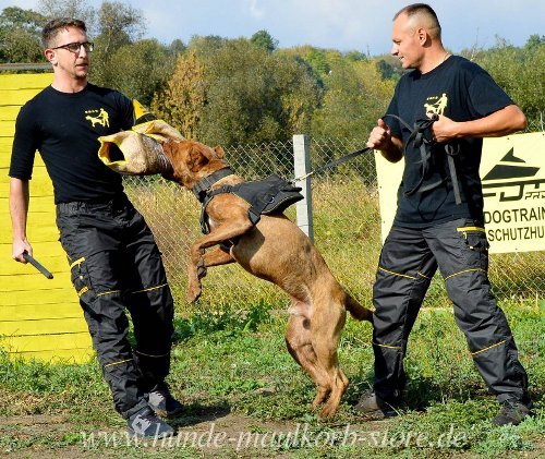 Bandog Hunde Geschirr aus Nylon