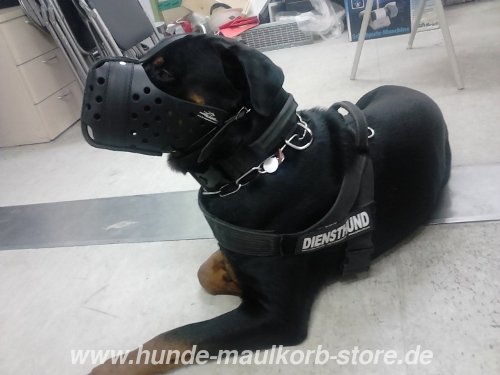 Rottweiler Maulkorb fuer Hundetraining