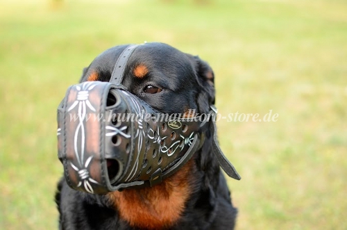 Rottweiler Maulkorb Hund Kaufen