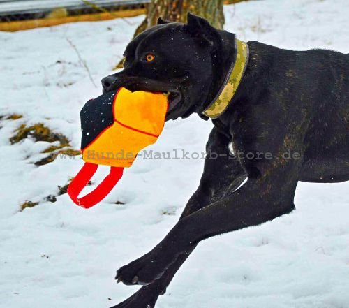 Hundeball mit Handschlaufe