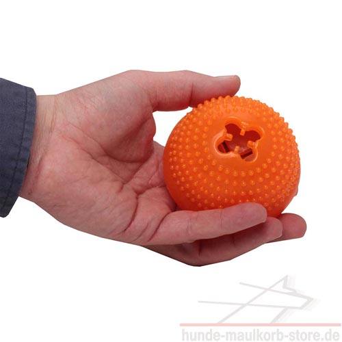 Fun for dog