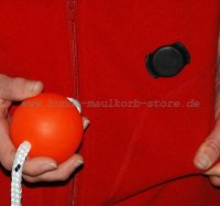 Magnet Top-Matic Deutschland