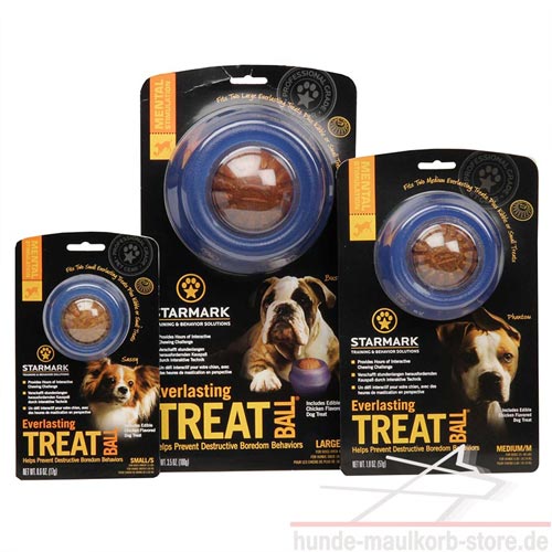 Fun for dog