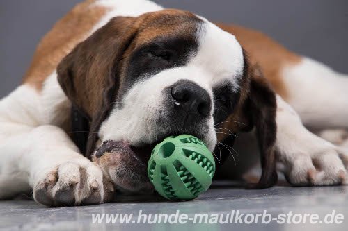 Hundeball für Zahnpflege, 7cm 
